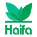 HAIFA